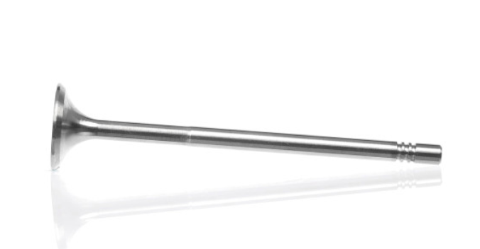 EXHAUST VALVE M651